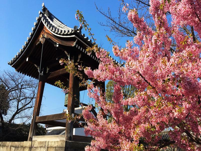 Stay Sakura Kyoto Toji West I Dış mekan fotoğraf