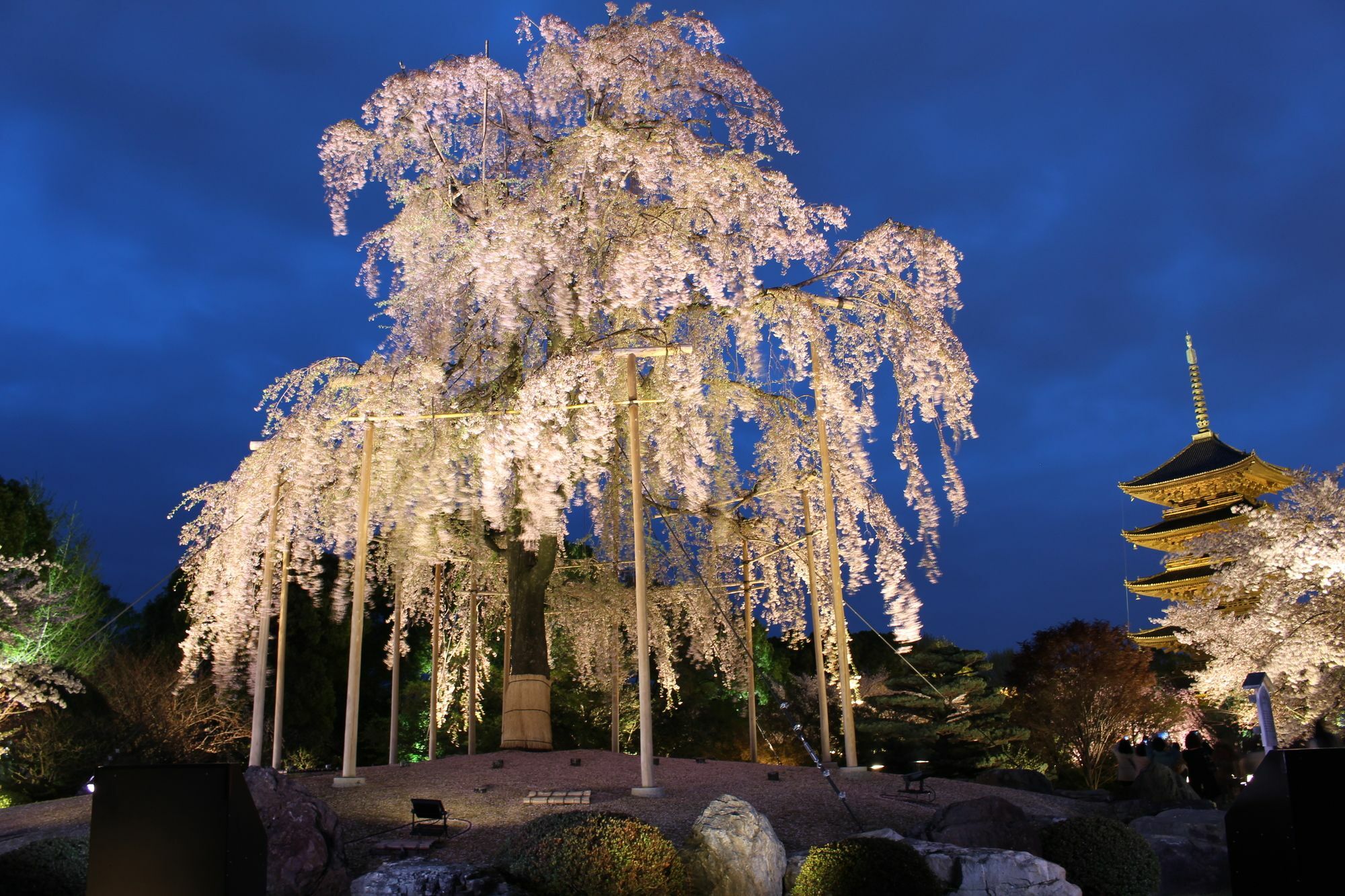 Stay Sakura Kyoto Toji West I Dış mekan fotoğraf