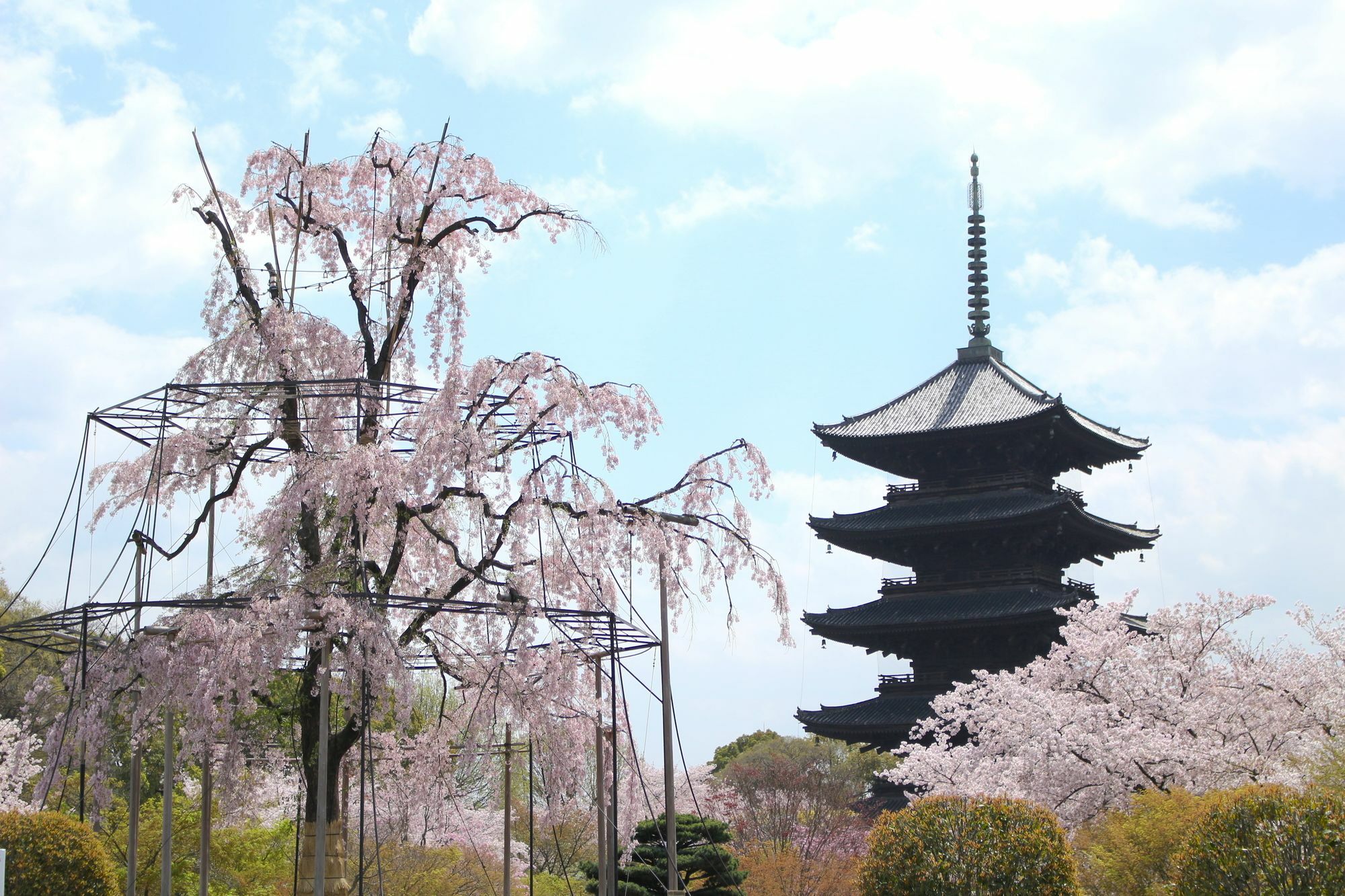 Stay Sakura Kyoto Toji West I Dış mekan fotoğraf