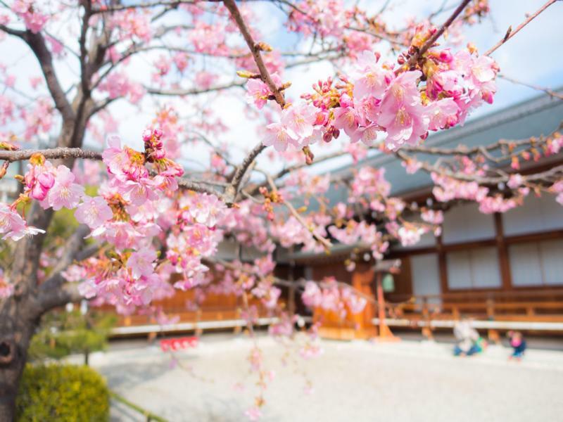 Stay Sakura Kyoto Toji West I Dış mekan fotoğraf