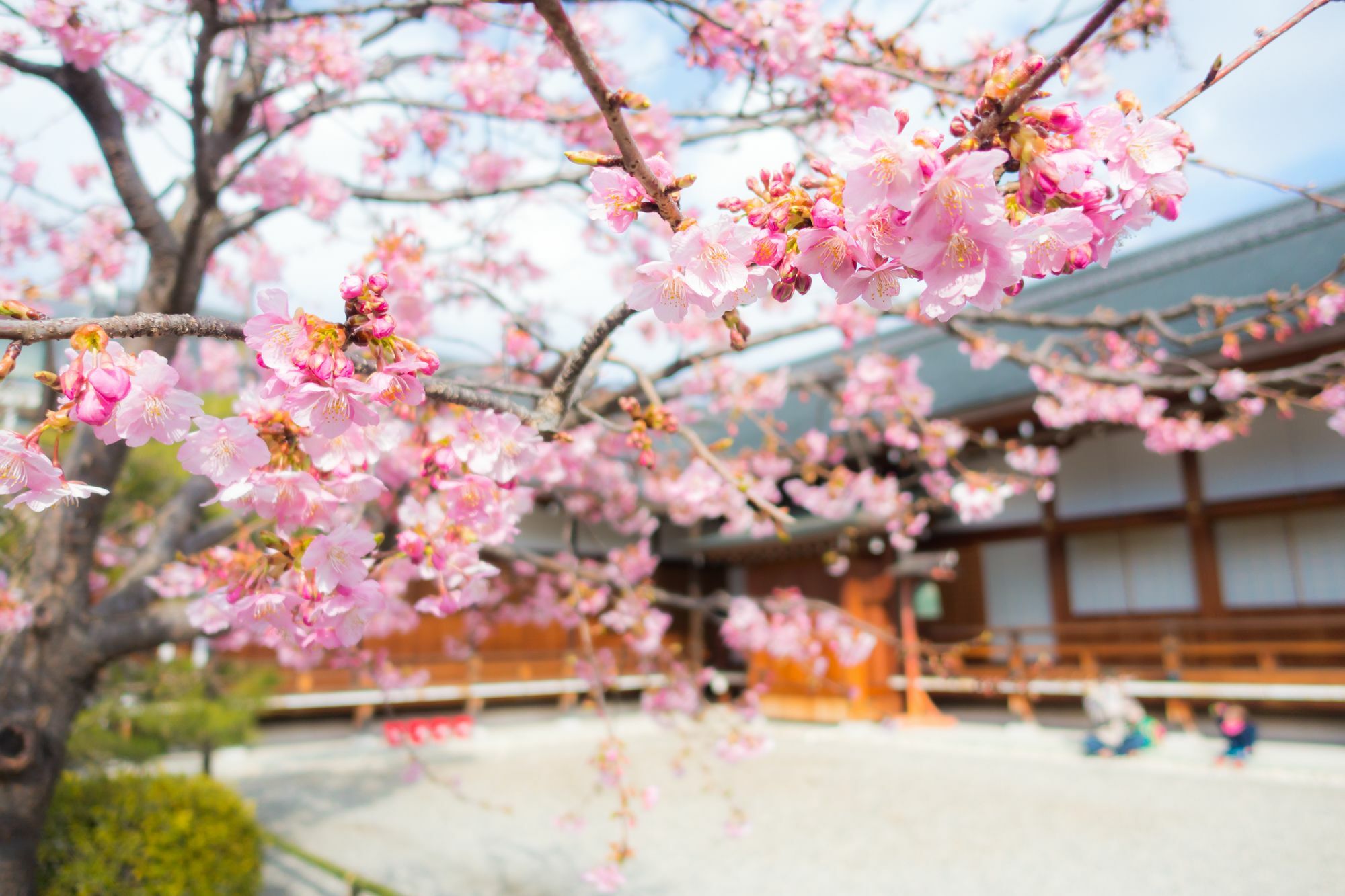 Stay Sakura Kyoto Toji West I Dış mekan fotoğraf